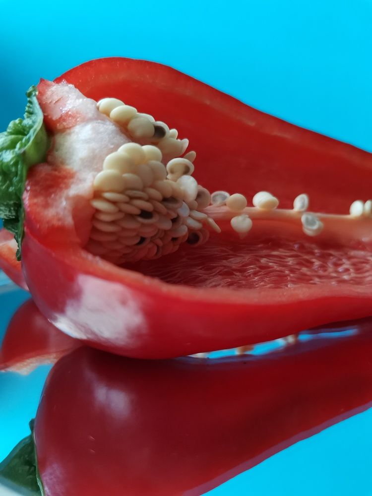 Photograph by Нина Сучкова