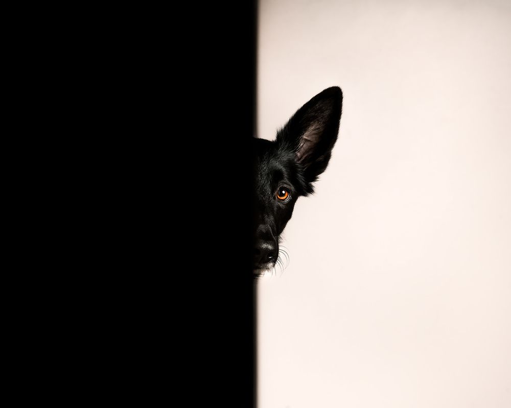 Photograph by Vladimir Smaženka