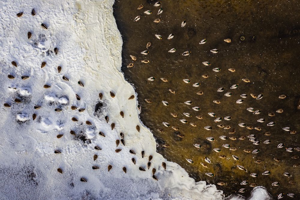 Photograph by Сергей Морозов