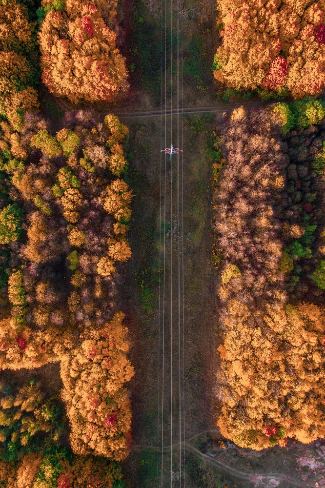 Photograph by Сергей Морозов