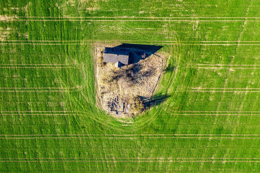 Photograph by Сергей Морозов