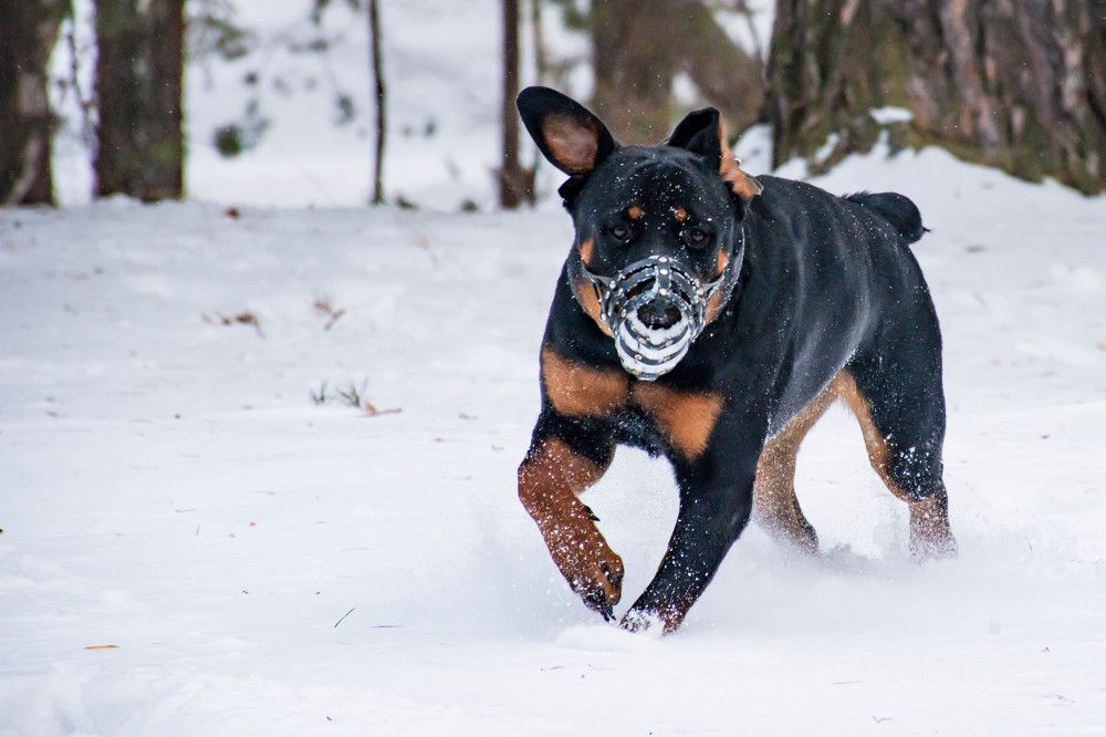 Photograph by Елена Прохорова