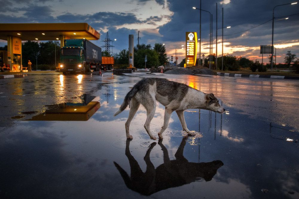 The Crossroads of Hope