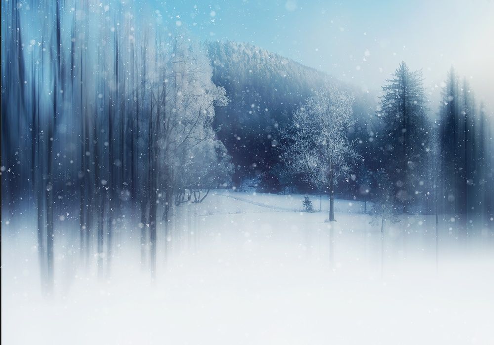 Photograph by Magdalena Kolenicova