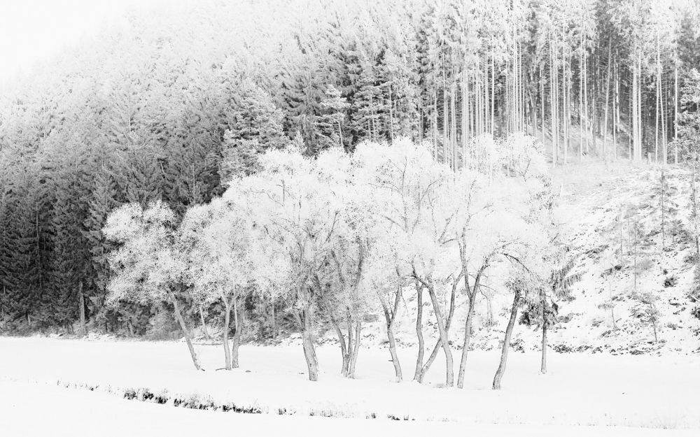 Photograph by Magdalena Kolenicova