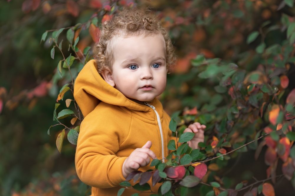 The colors of autumn