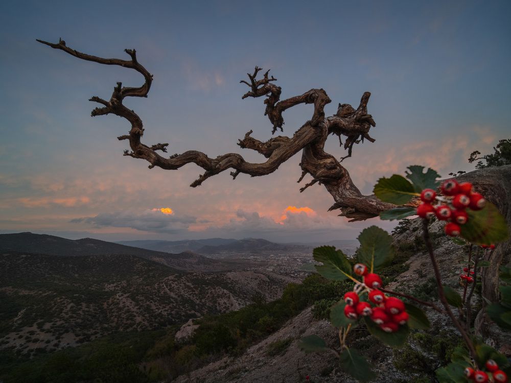 Фотография автора Виктор Иванов