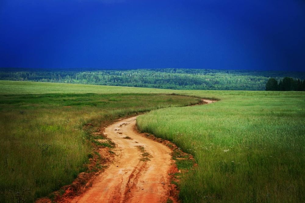 Перед грозой.