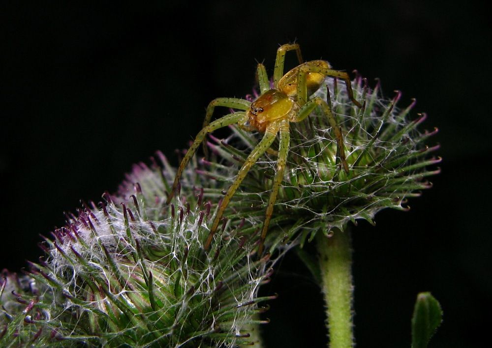 Photograph by Александр Базарный