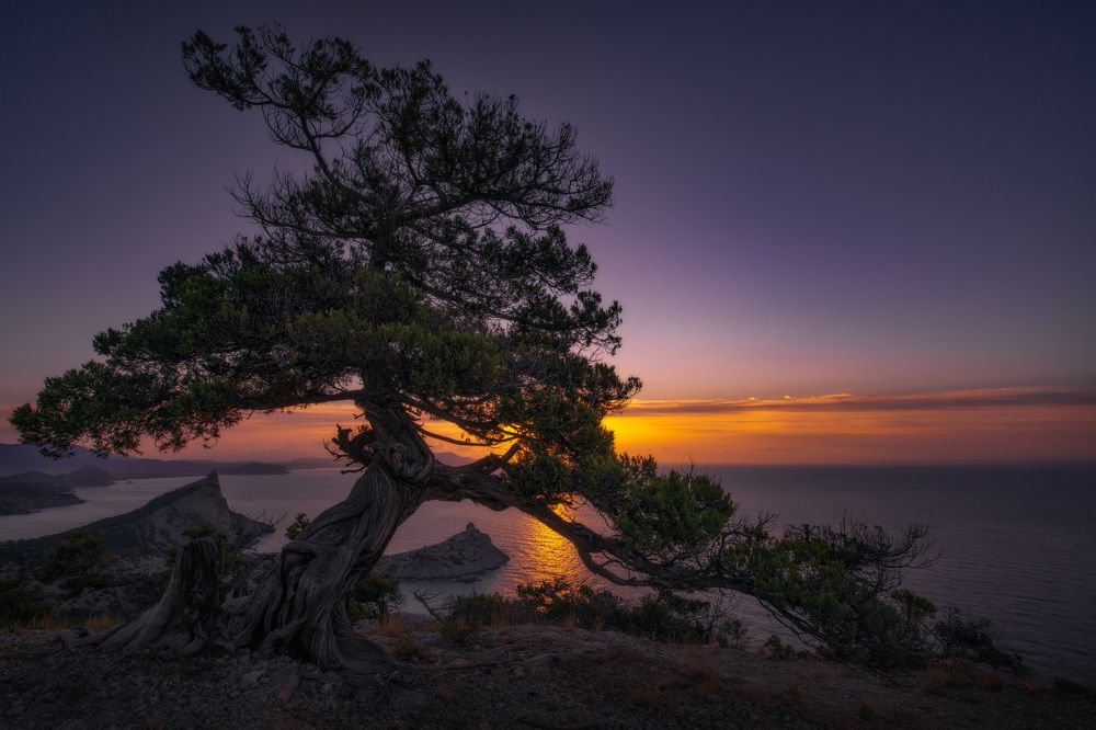 Фотография автора Виктор Иванов