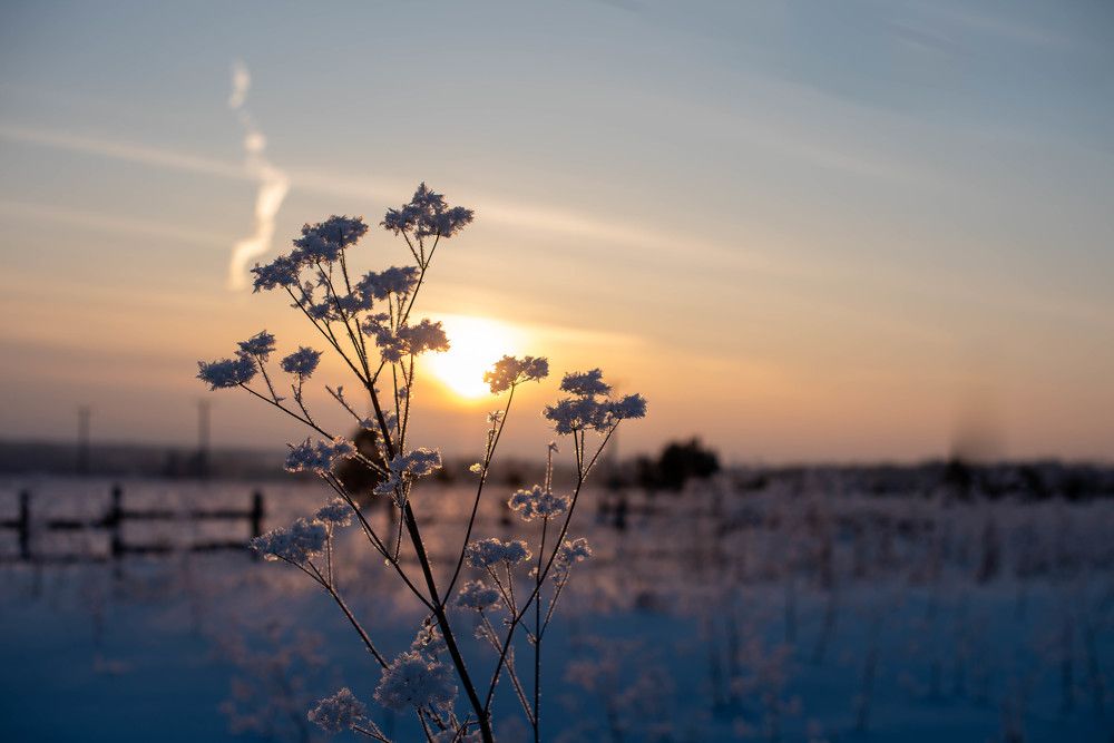 Photograph by Наталья Свинарёва