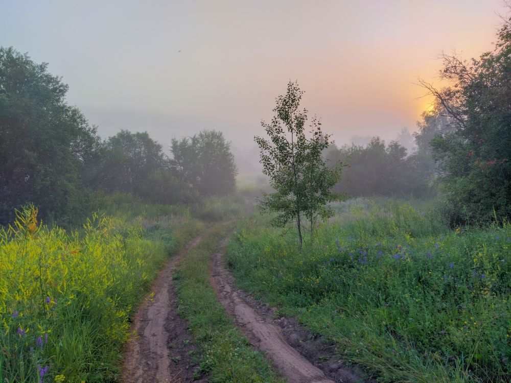 Photograph by Светлана Кондрашова