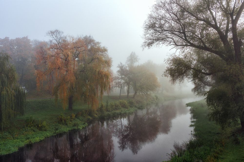 Photograph by Елена Стещенко