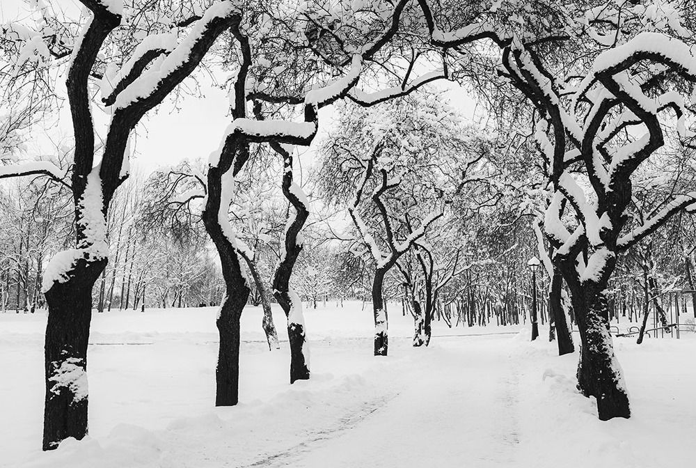 Photograph by Ольга