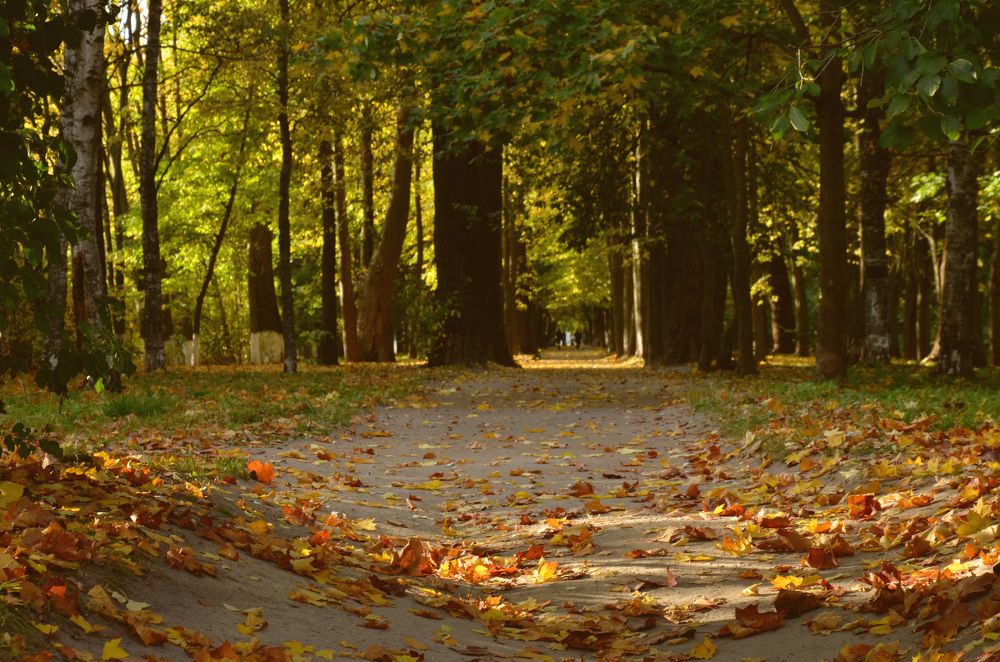 Photograph by PISKUN ALLA