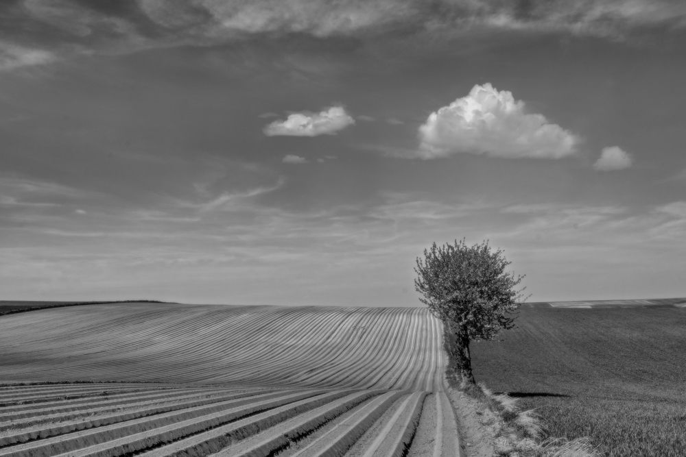 Photograph by Dariusz Budyta