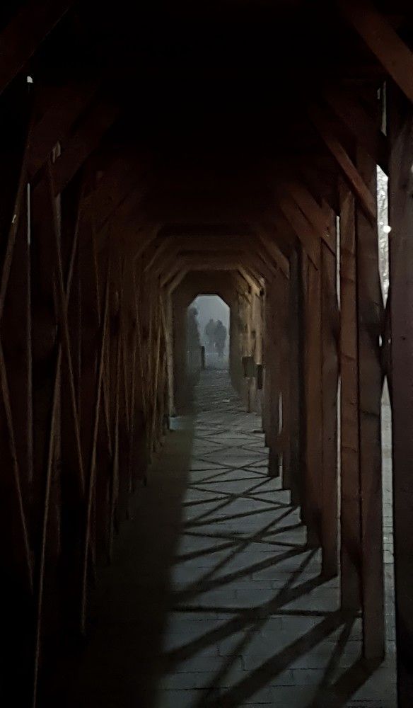 Photograph by Raluca