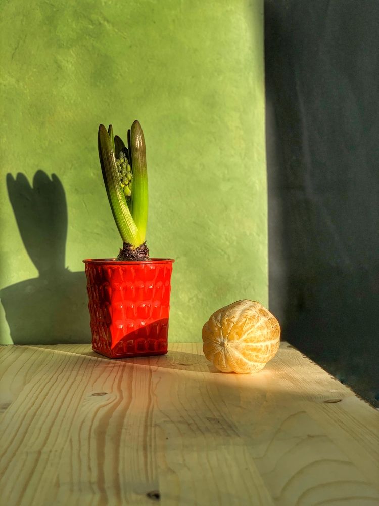 Приближение весны