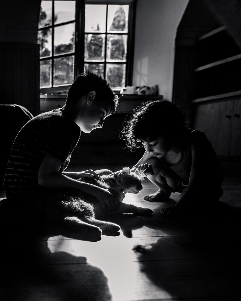 Photograph by Katherine Strauss