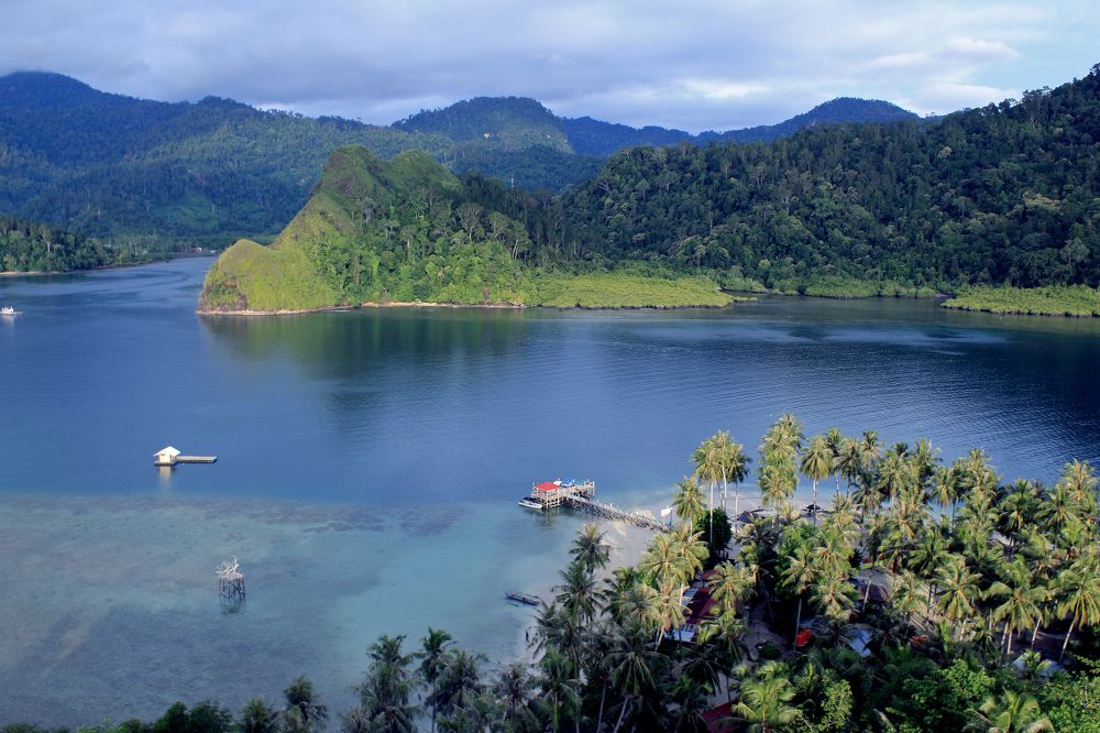 Фотография автора JOE