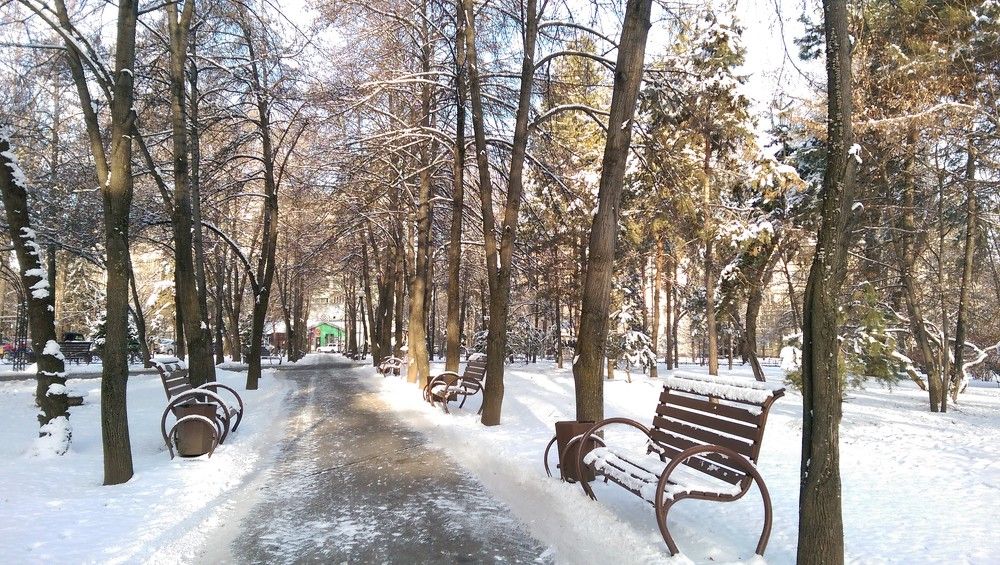 Photograph by Esmaeil Razaghi