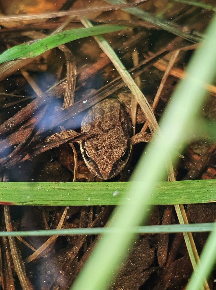 Photograph by Artem Gatin