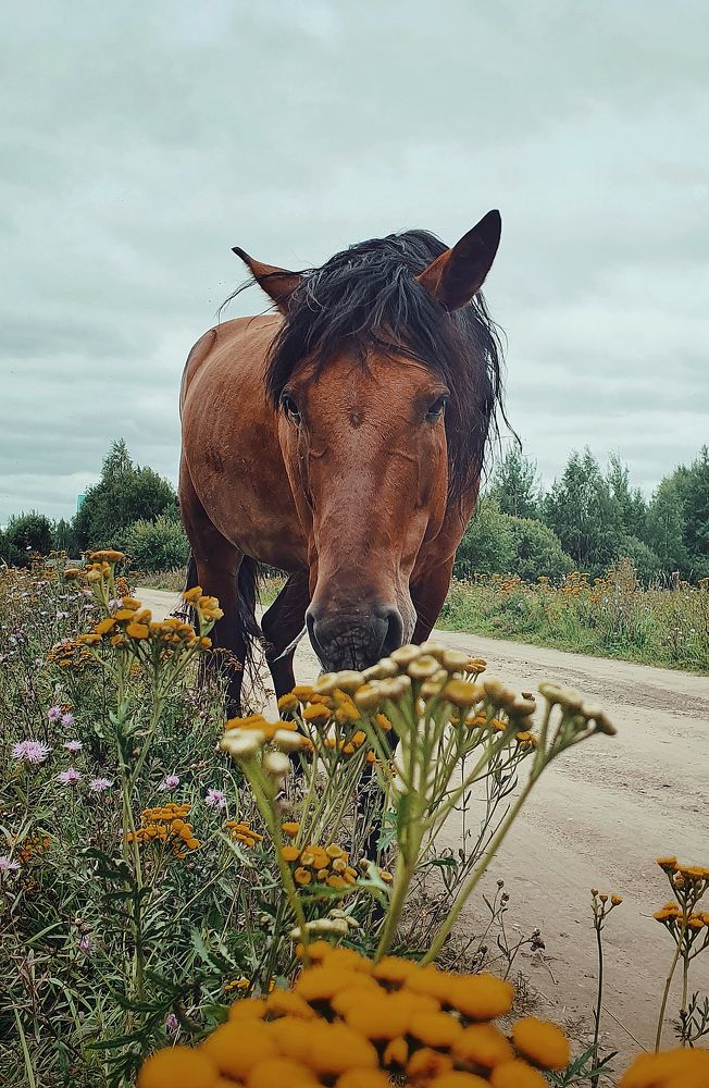Photograph by Artem Gatin