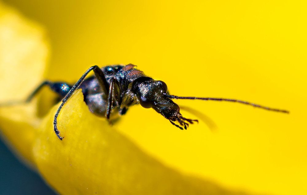 Фотография автора Владимир Оликов