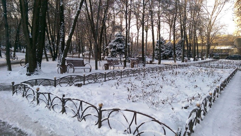 Photograph by Esmaeil Razaghi