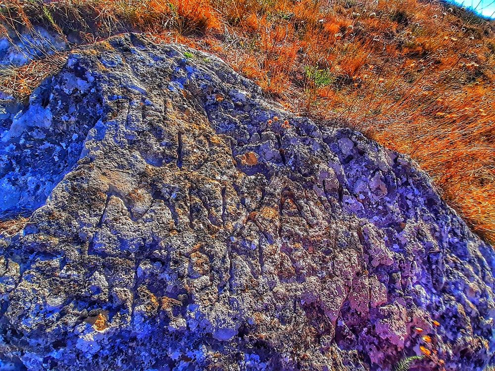 Photograph by Екатерина Пыжова