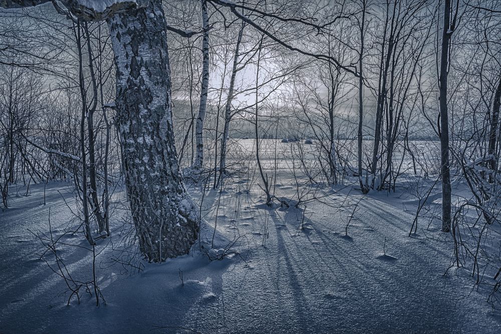 Photograph by Валентин Завьялов