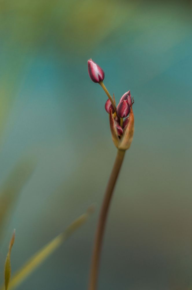 Photograph by Вера Ижокина