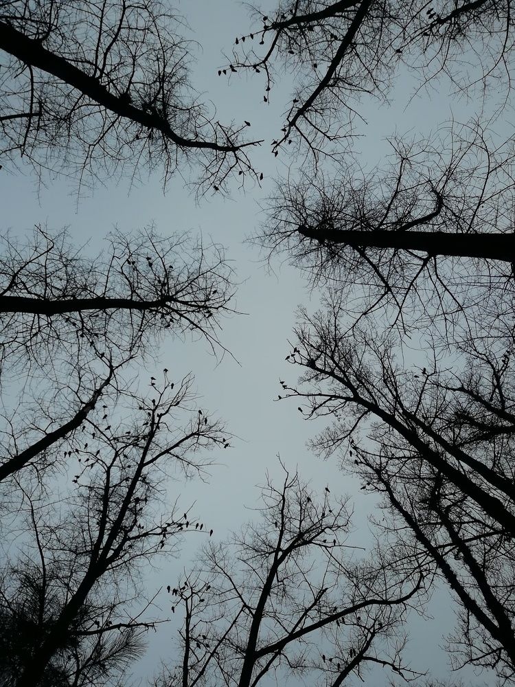 Photo #5710880
