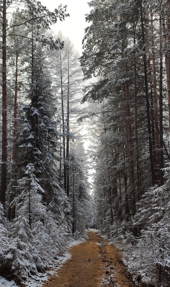 Photograph by Оксана Монахова