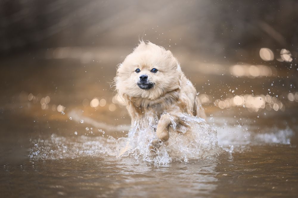 Photograph by Deise de Oliveira