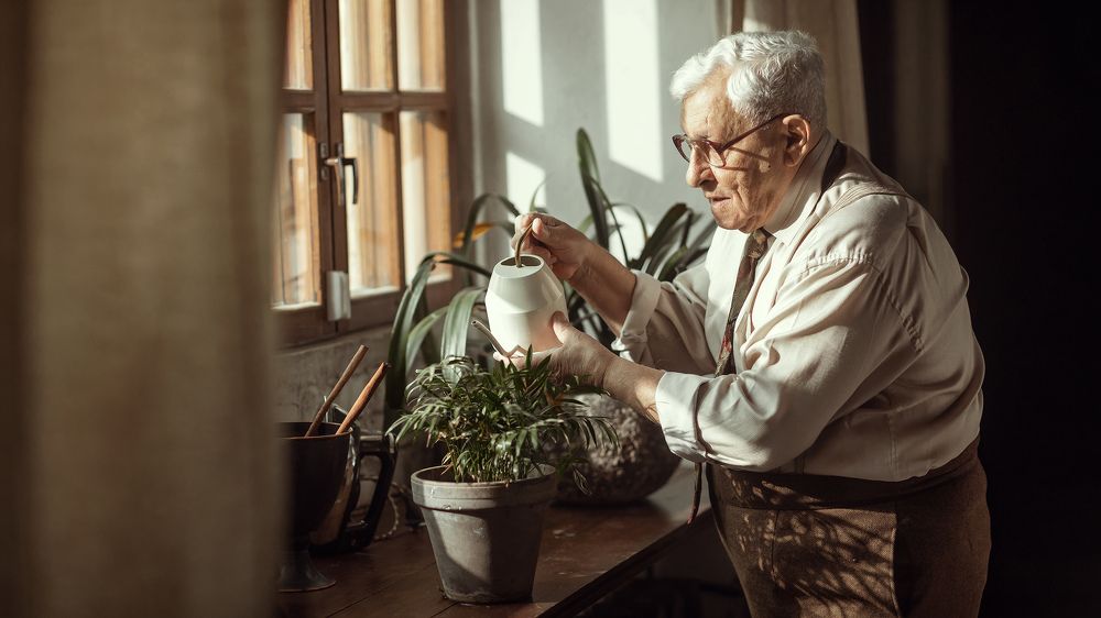 Долго и счастливо