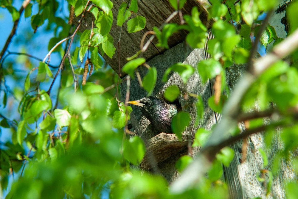 Фотография автора Владимир Оликов
