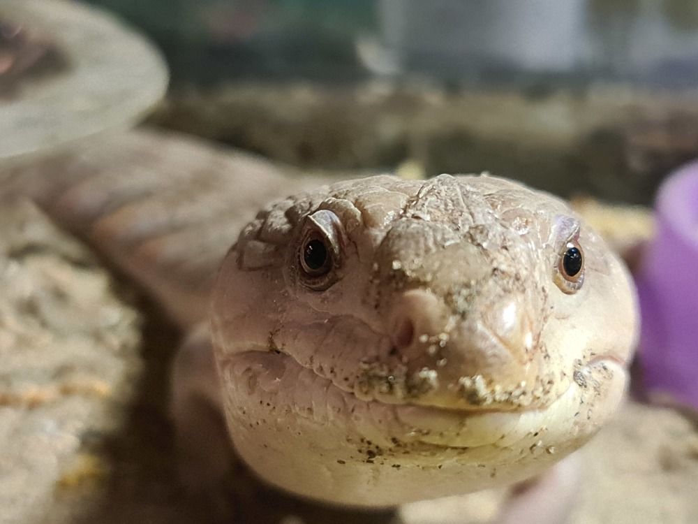 Умный взляд