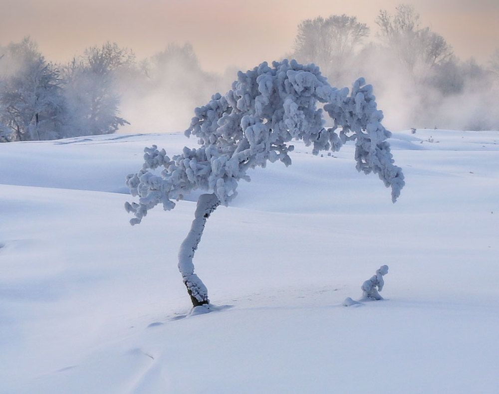 Photograph by Галина Хвостенко