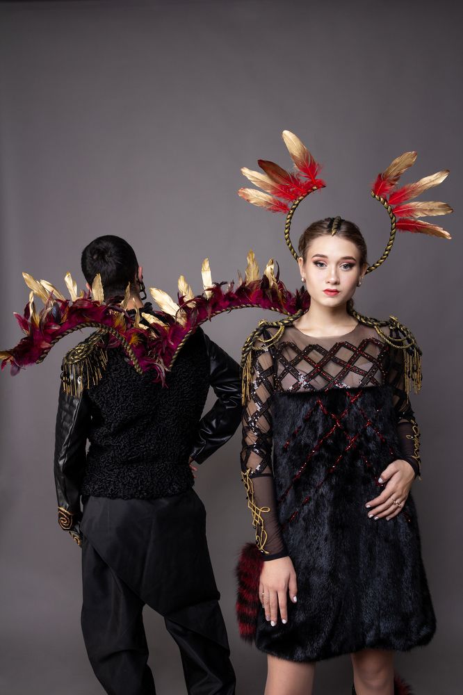 Северные птицы