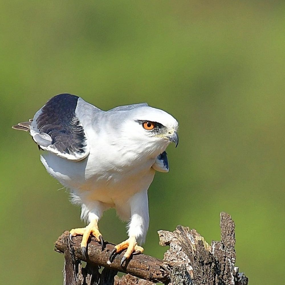 Photograph by Deavadatha Kumar