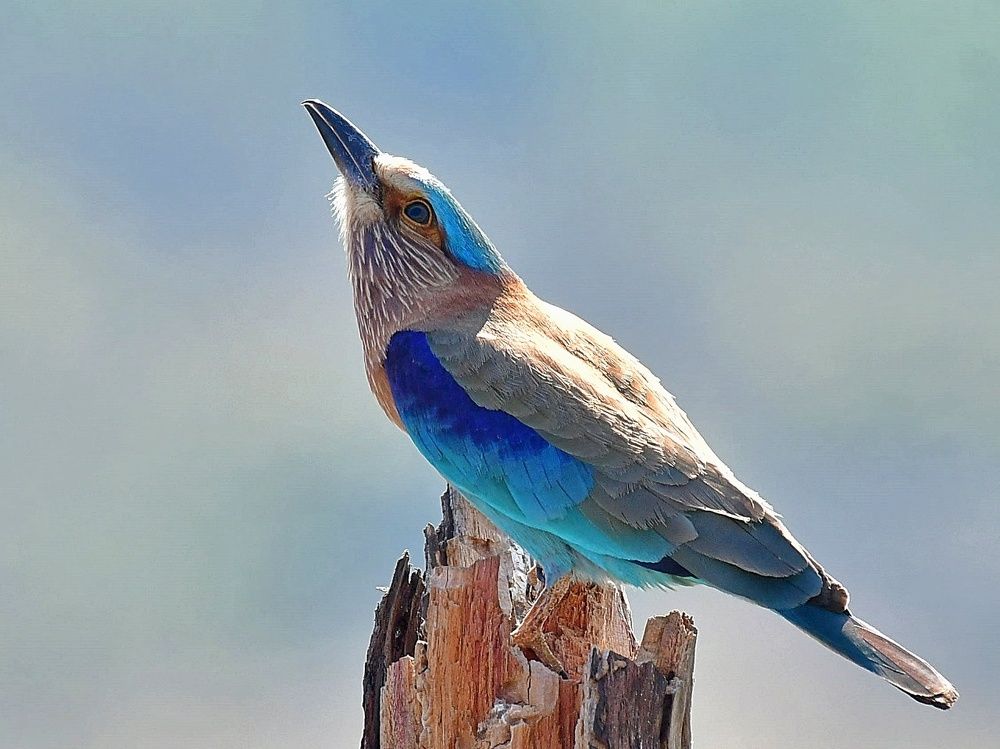 Photograph by Deavadatha Kumar