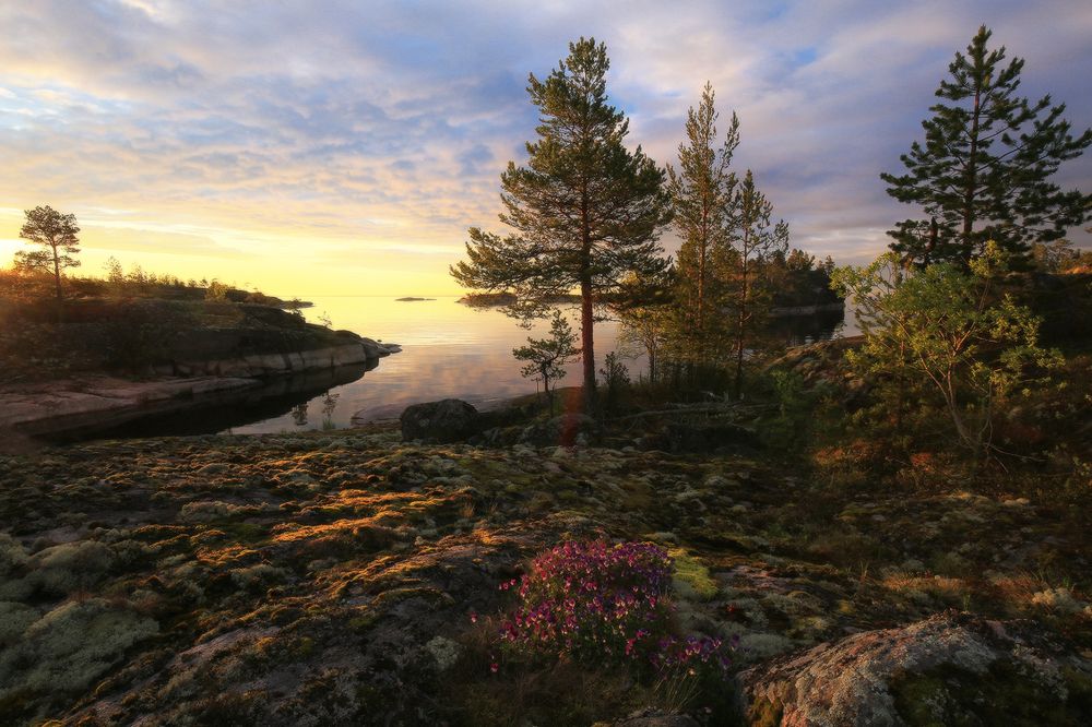 Photograph by Галина Хвостенко