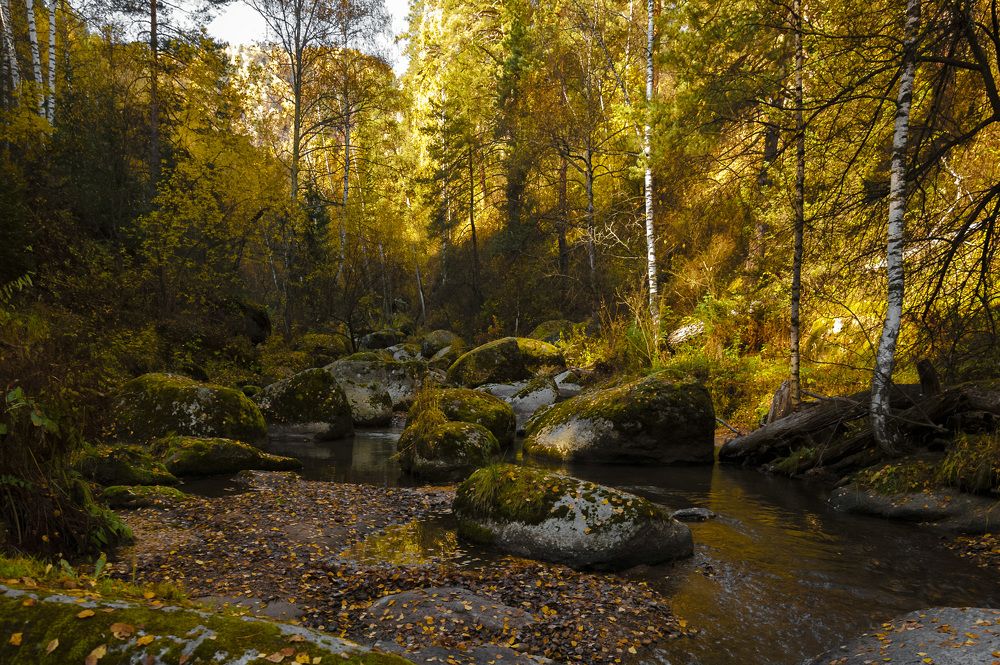 Осенний день....