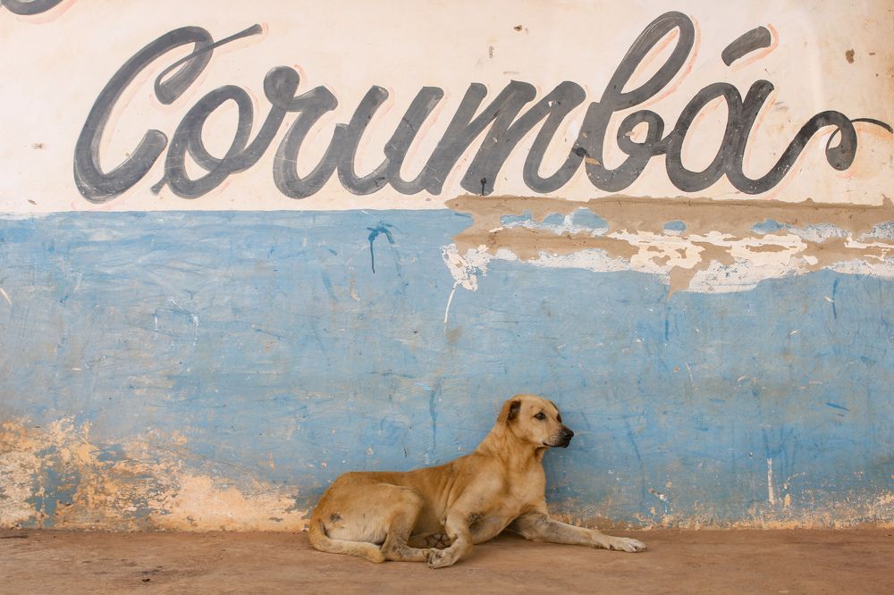 Photograph by Tiago Batista Cardoso