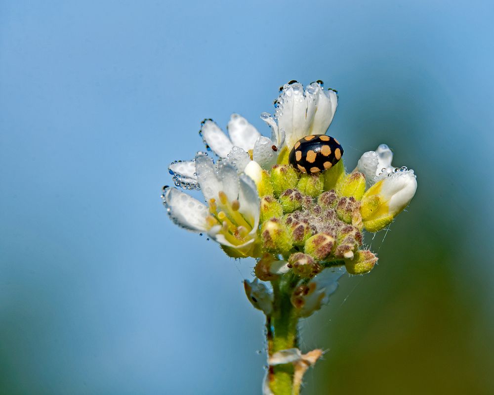 Photograph by Александр Козин