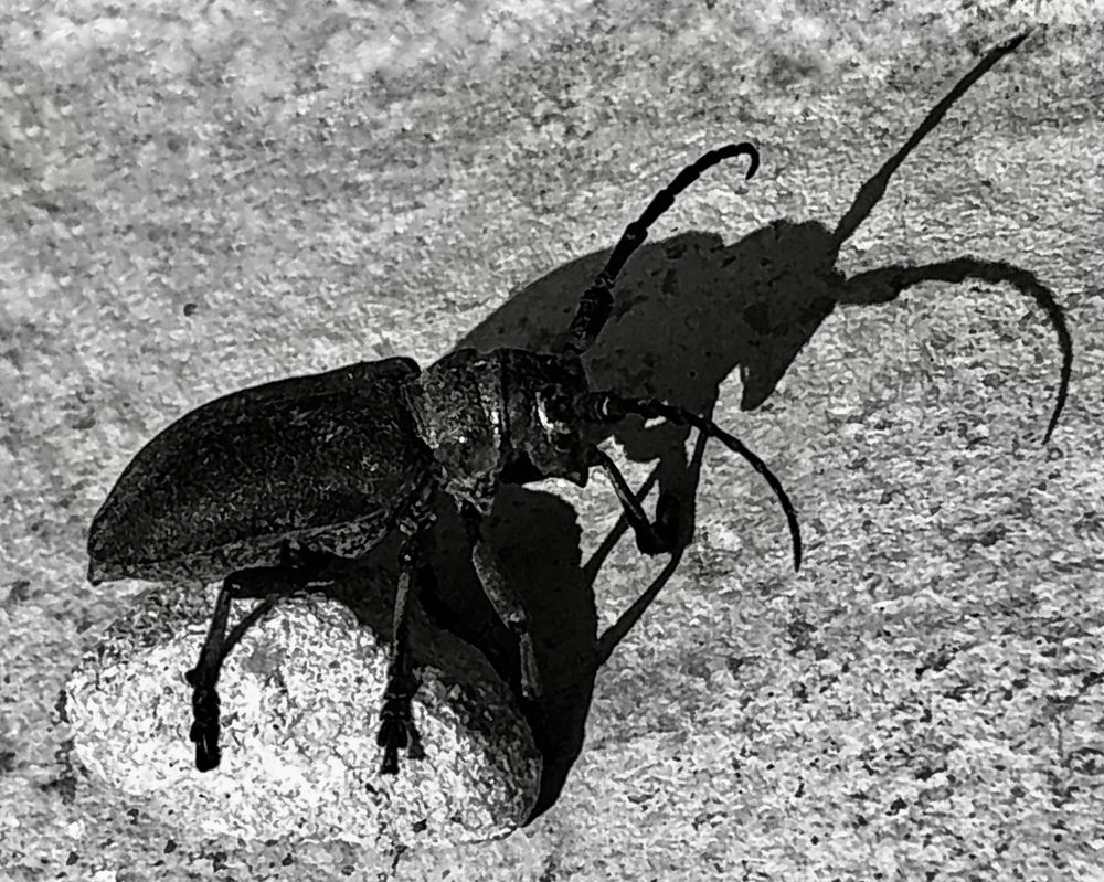 Photograph by Юлия Отставнова