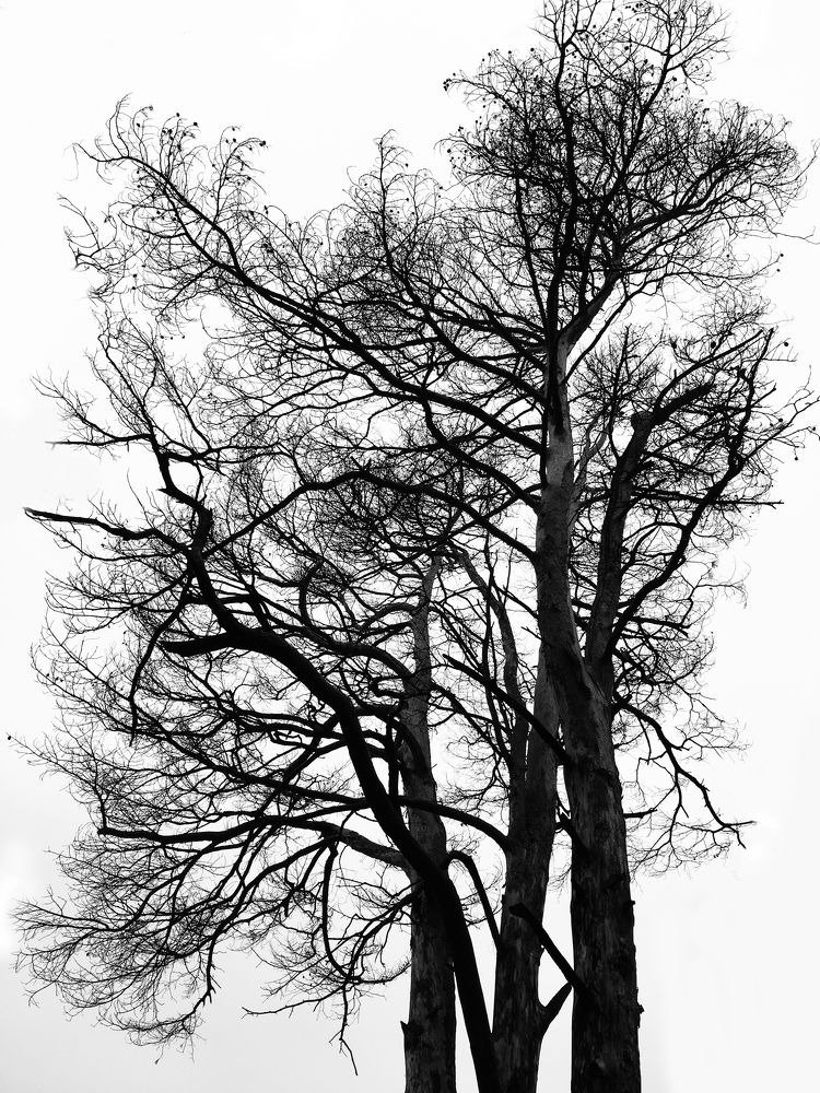 Photograph by Татьяна Ионова