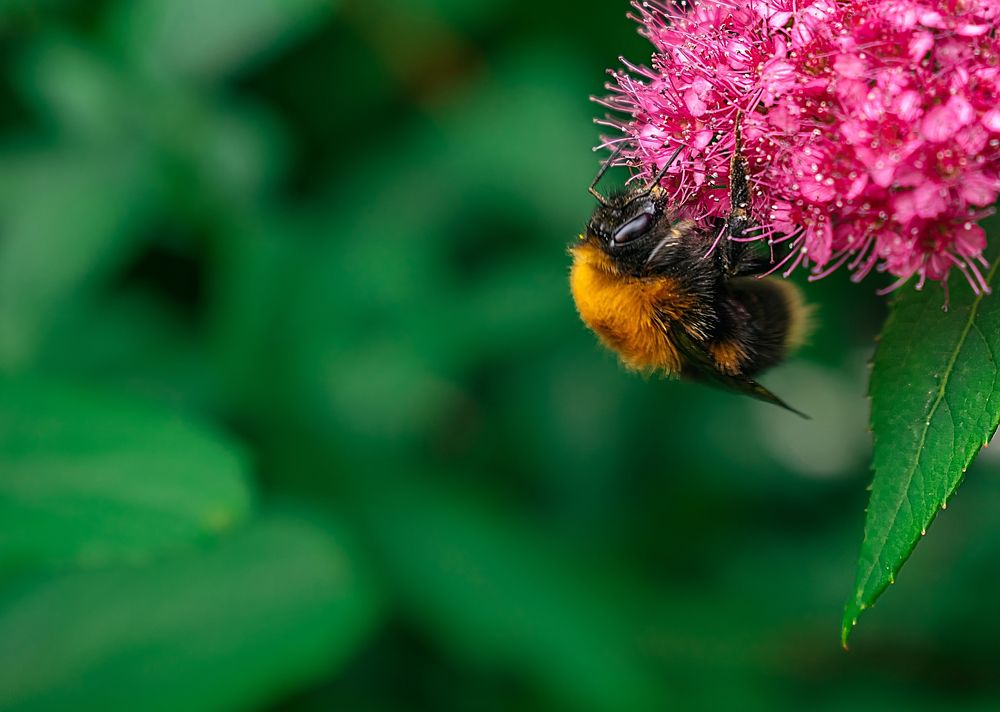 Photograph by Ангелина Mельникова