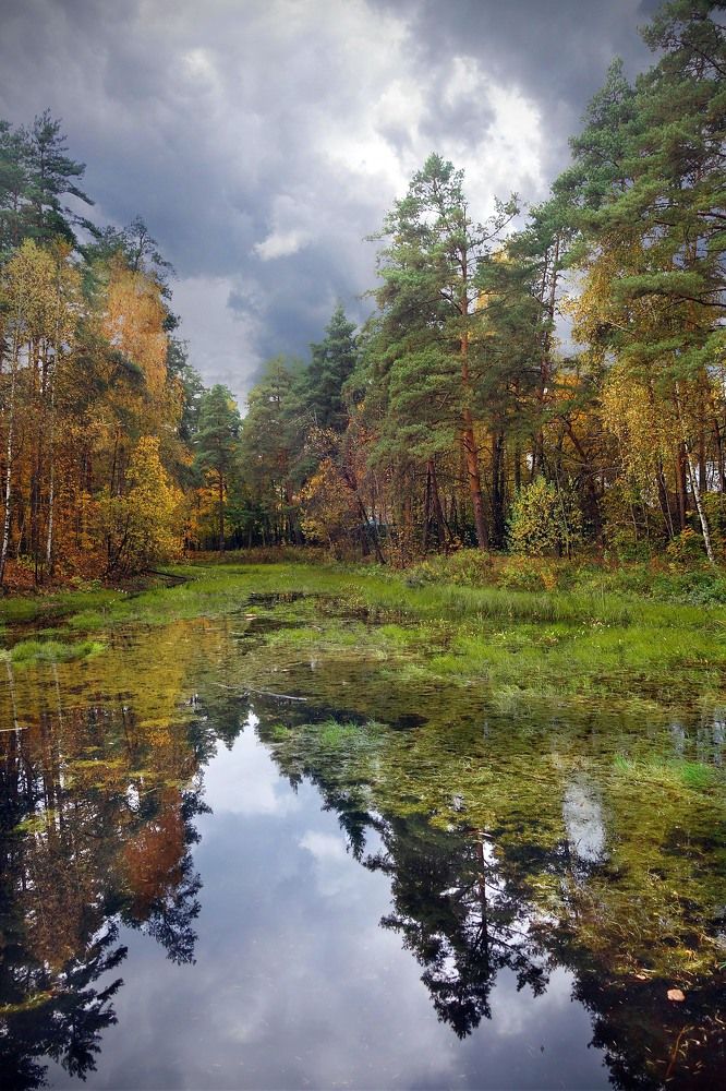 Photograph by Жучков Никита